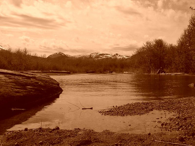 Mount St.Helens (29).JPG